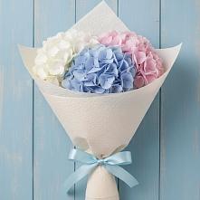 Букет цветов из:  Гортензия #REPLACE_PRED# Асбесте