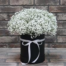 Цветочная композиция из Гипсофила в шляпной коробке в Асбесте